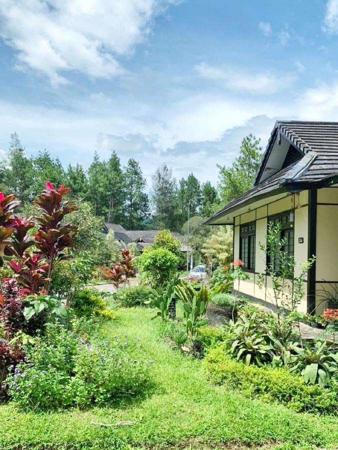 Designer Villa Osaka Puncak Esterno foto