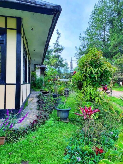 Designer Villa Osaka Puncak Esterno foto