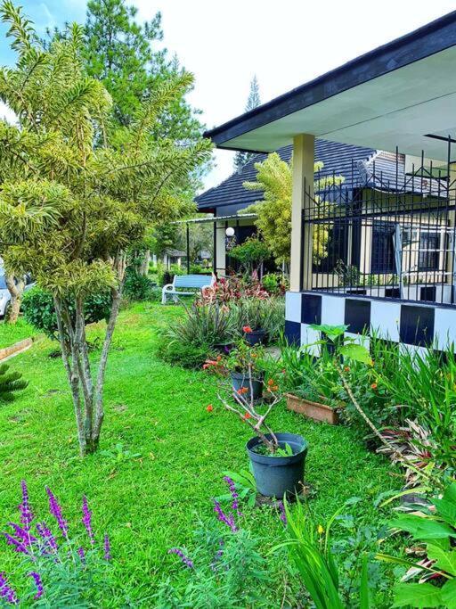 Designer Villa Osaka Puncak Esterno foto